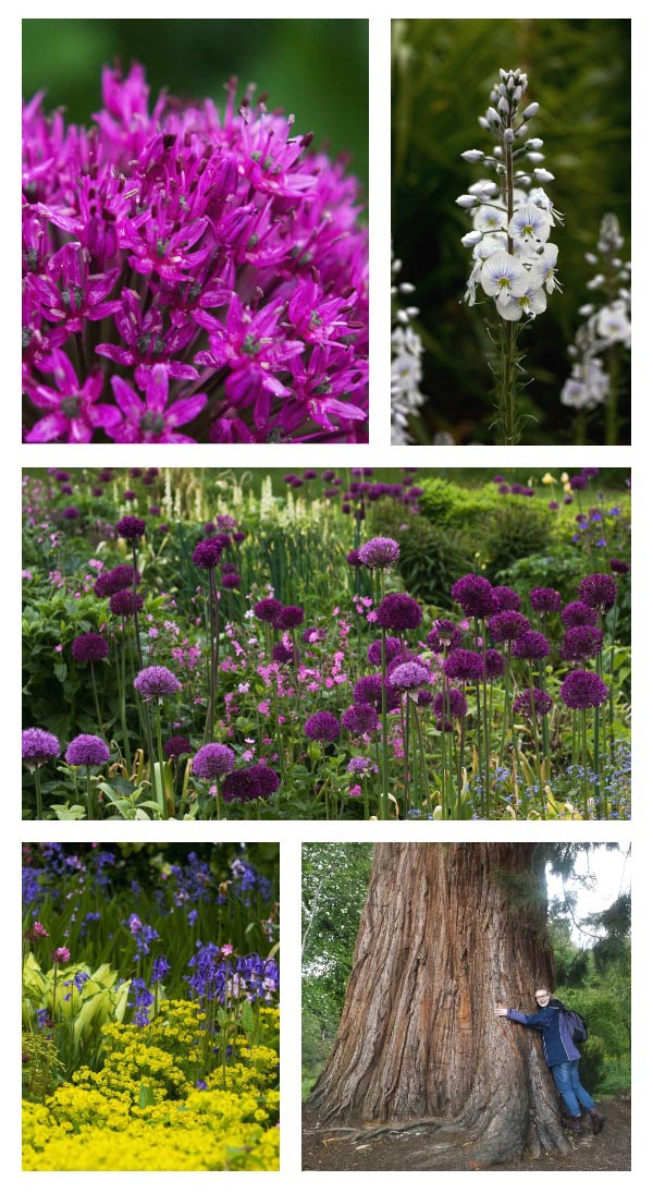 Logie Steading Shops, Hellygogg Crafts, Gallery and Gardens