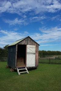 Visiting North Norfolk - Snettisham Deer Park