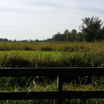 Visiting North Norfolk - Sculthorpe Moor