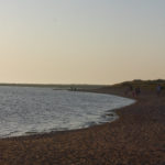 Visiting North Norfolk - Blakeney Seals