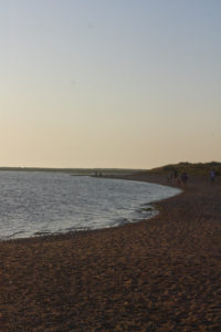 Visiting North Norfolk - Blakeney Seals