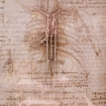 Leonardo daVinci Ten Drawing Exhibition at Nottingham Castle