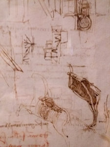 Leonardo daVinci Ten Drawing Exhibition at Nottingham Castle