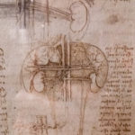 Leonardo daVinci Ten Drawing Exhibition at Nottingham Castle