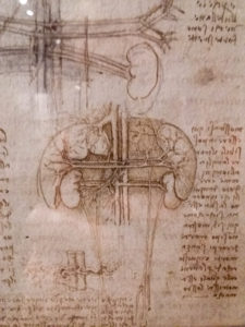 Leonardo daVinci Ten Drawing Exhibition at Nottingham Castle