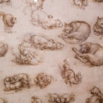 Leonardo daVinci Ten Drawing Exhibition at Nottingham Castle