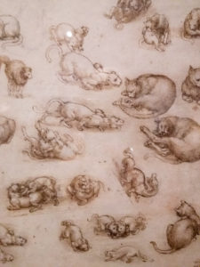 Leonardo daVinci Ten Drawing Exhibition at Nottingham Castle
