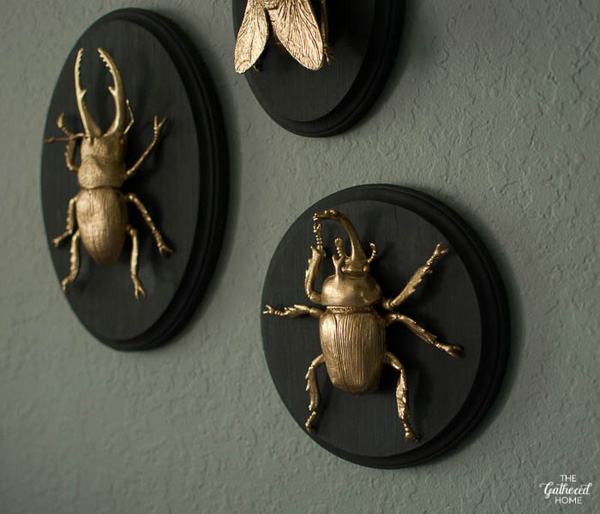 the-gathered-home-diy-gilded-insect-entomology-taxidermy-plaques-3