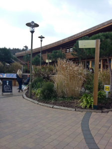 Center Parcs Holiday without Kids