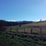Creative Self Care- Putting One Foot in Front of the Other