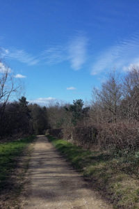 Creative Self Care- Putting One Foot in Front of the Other