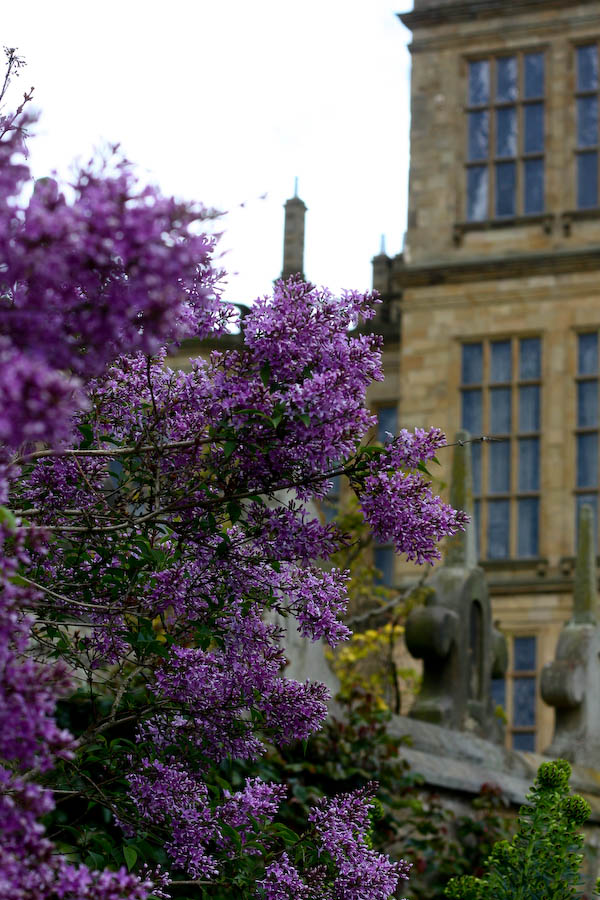 National Trust Hardwick Hall-Its all in the details