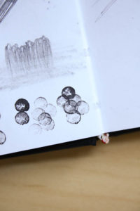 Beginners Guide to the Creative Process