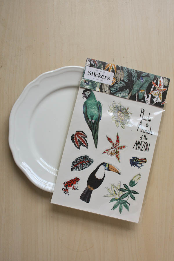 Decorative Plate DIY Tutorial by Make and Fable