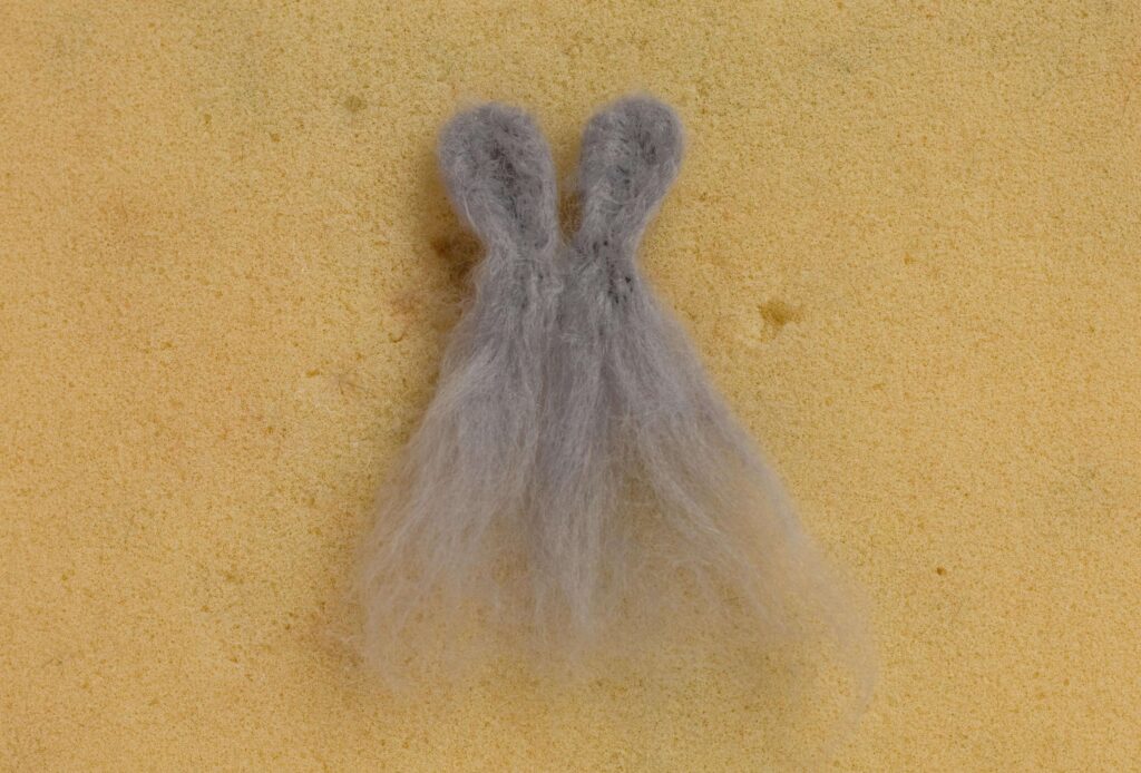 Needle Felt Bunny Rabbit Tutorial Two grey bunny ears, with loose fluffy fibres at the base. They have been lightly felted together at the bottom.